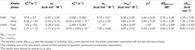 Tying up the Loose Ends: A Mathematically Knotted Protein